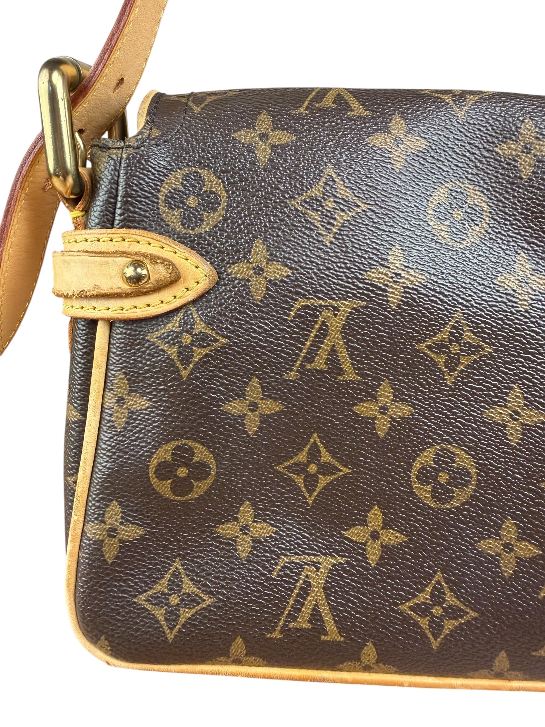 Louis Vuitton Monogram Hudson Two-Way Bag PM