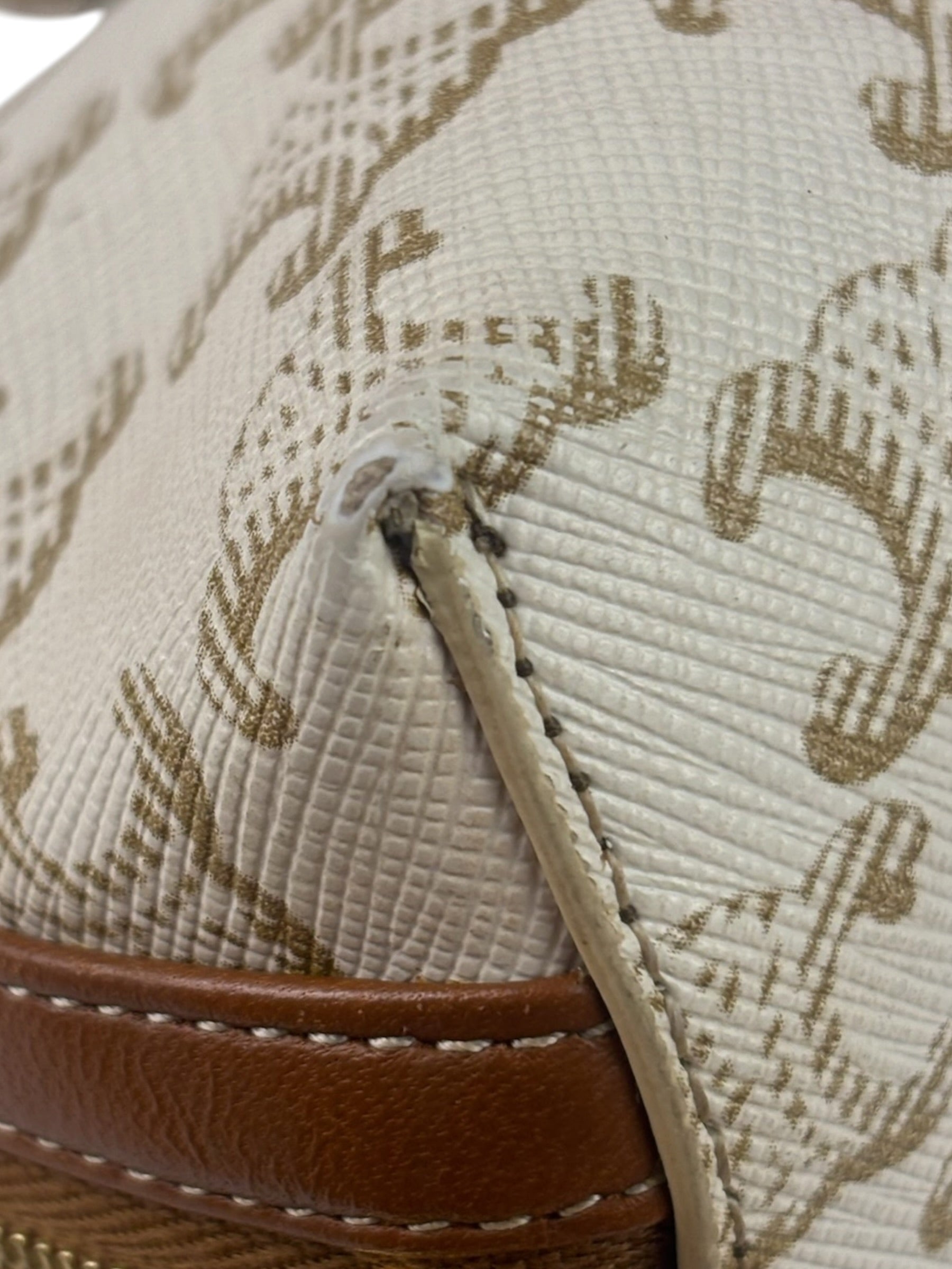 Celine Beige/Brown Leather Triomphe Chain Clutch