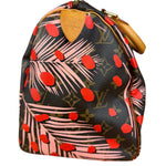 Louis Vuitton Limited Edition Jungle Dots Speedy 30