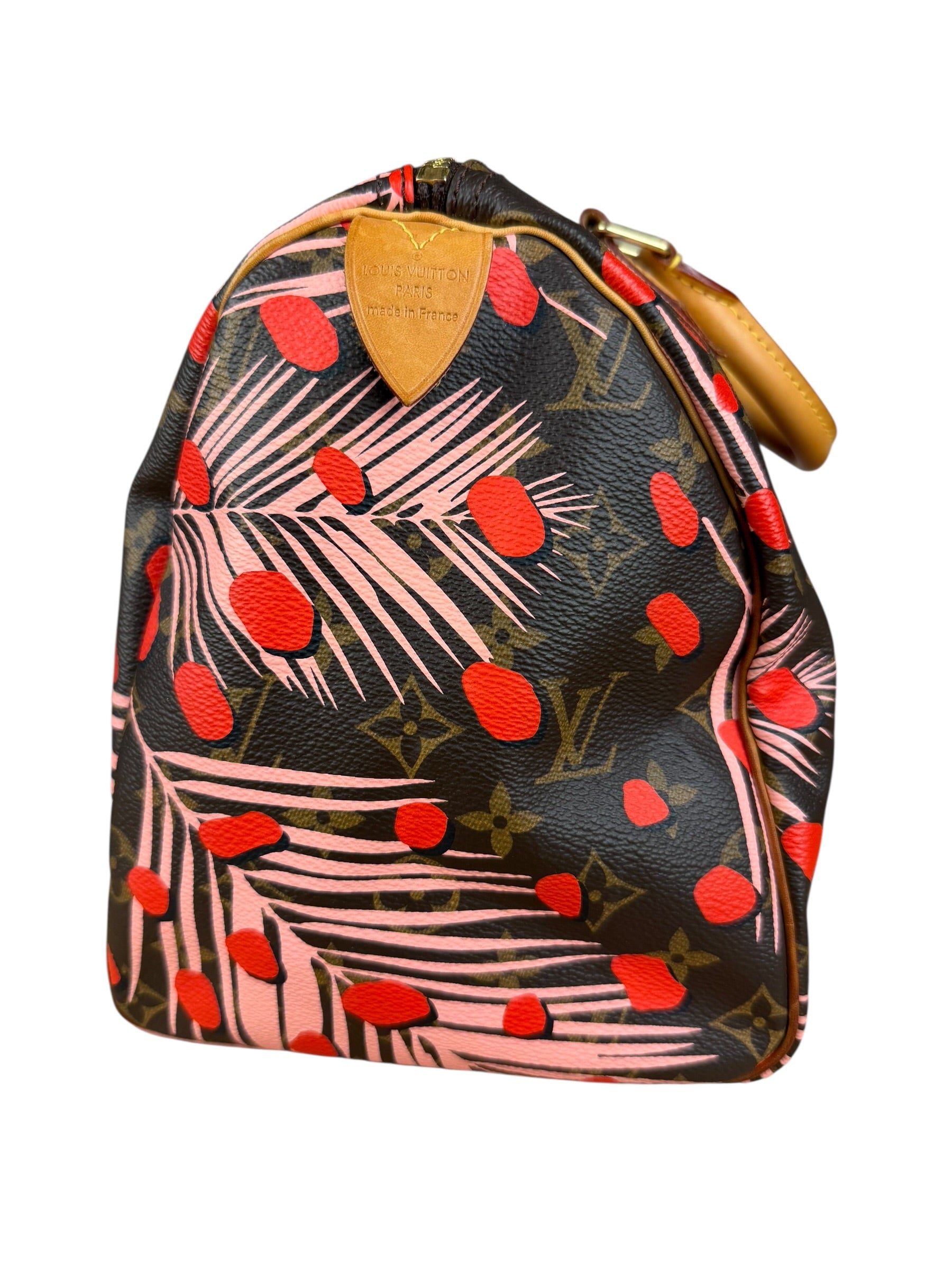 Louis Vuitton Limited Edition Jungle Dots Speedy 30