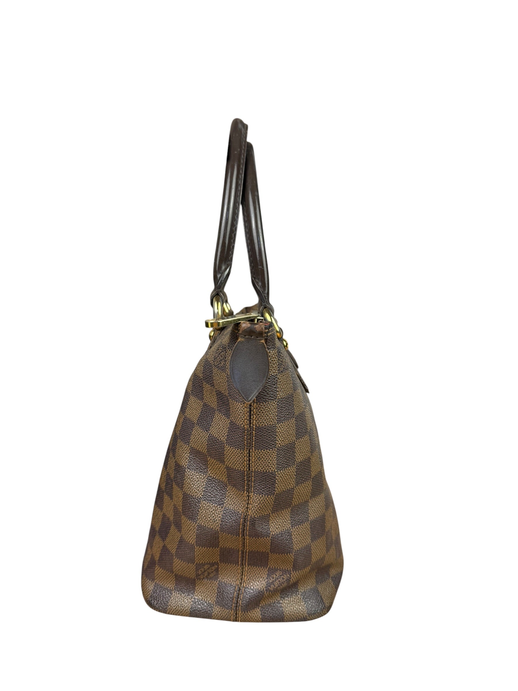 Louis Vuitton Damier Ebene Saleya Tote Bag MM