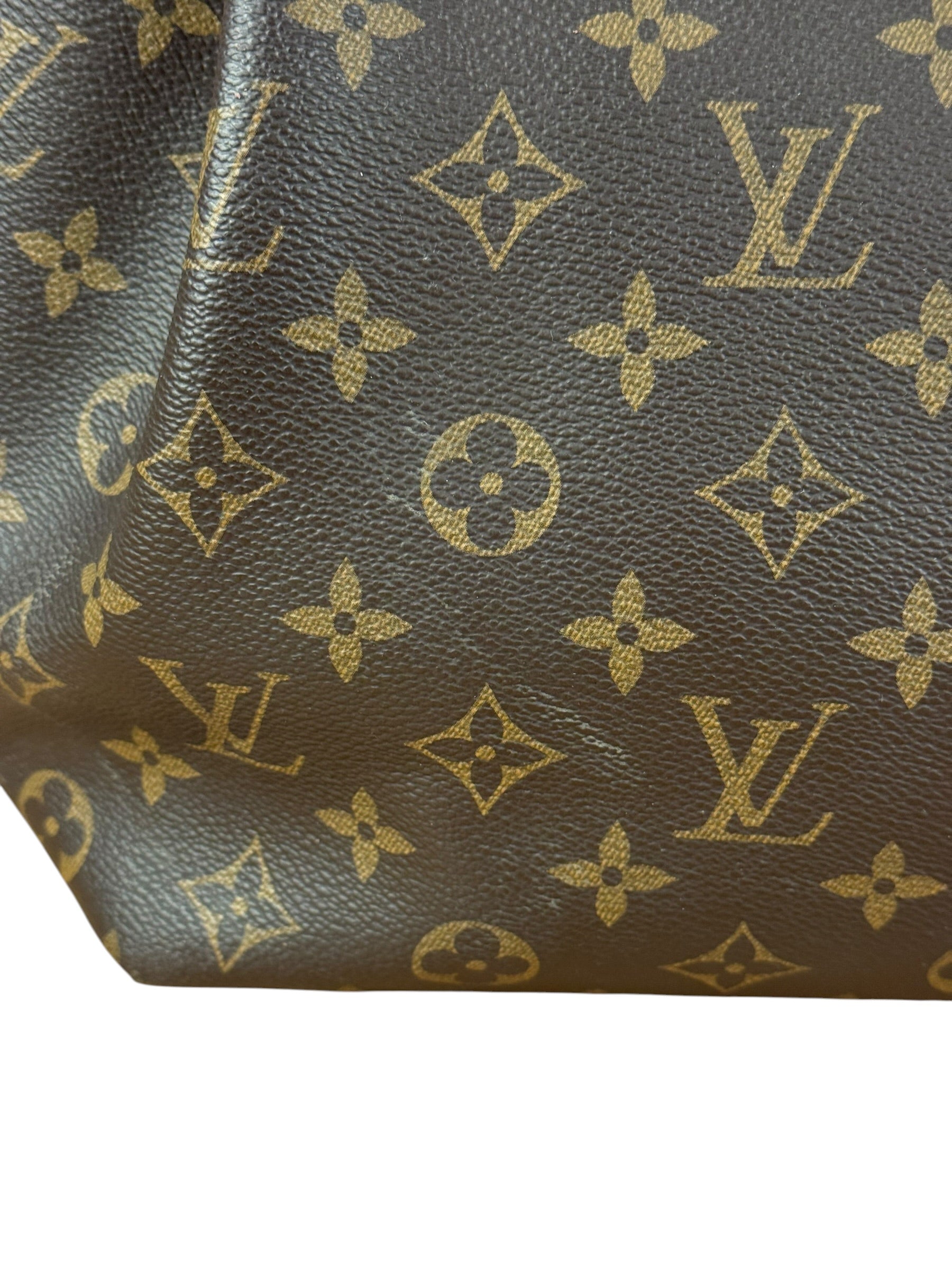 Louis Vuitton Canvas Monogram Turenne Hand Bag