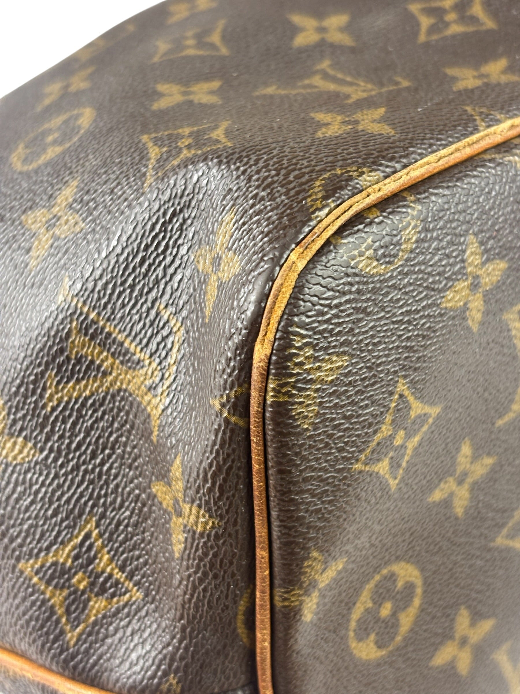 Louis Vuitton Monogram Palermo Two-Way Bag PM