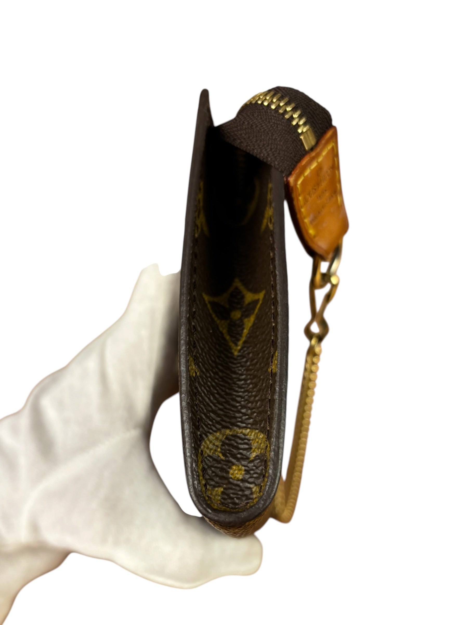 Louis Vuitton Monogram Partition Pouch