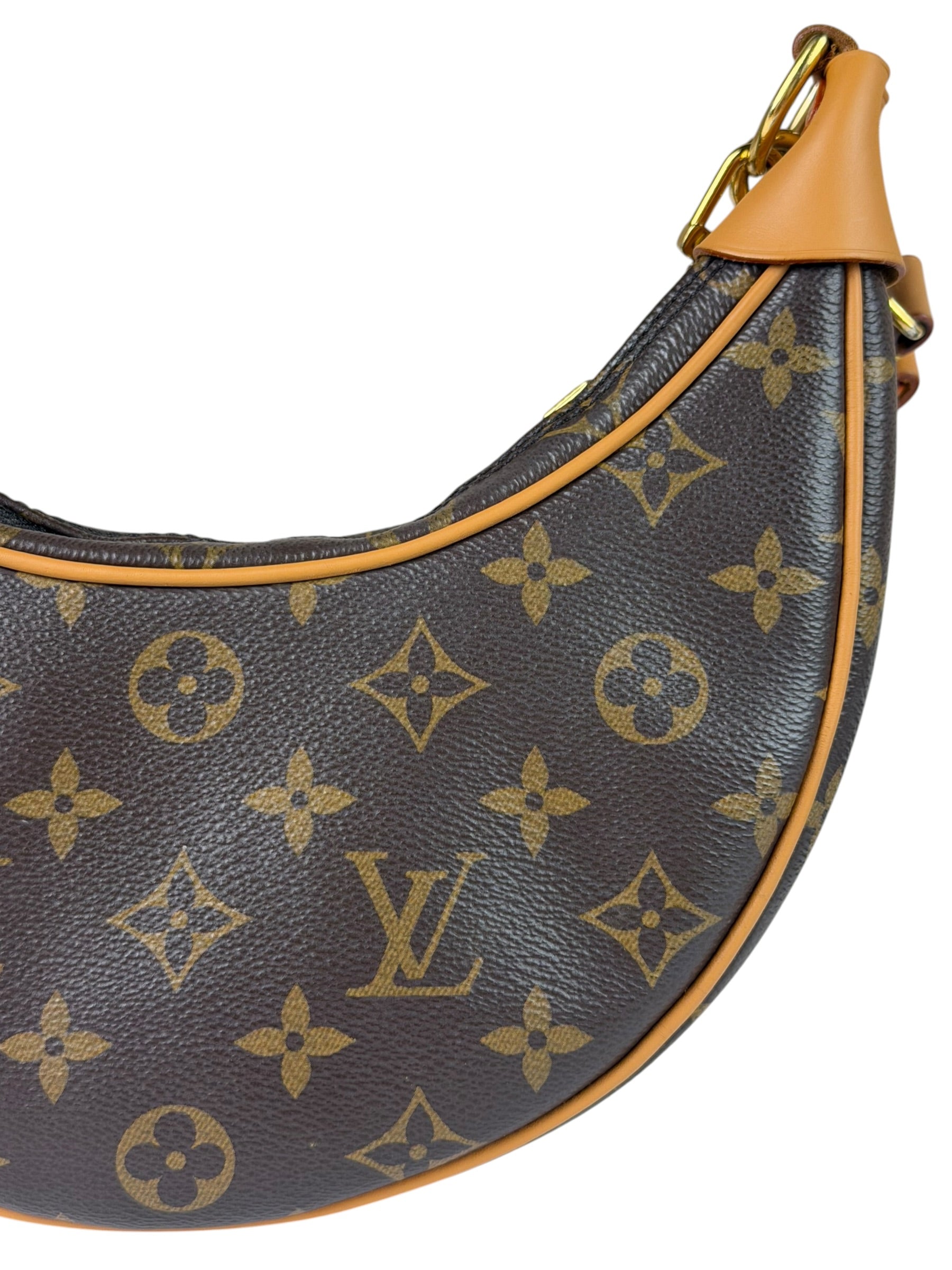 Louis Vuitton Monogram Loop Pochette