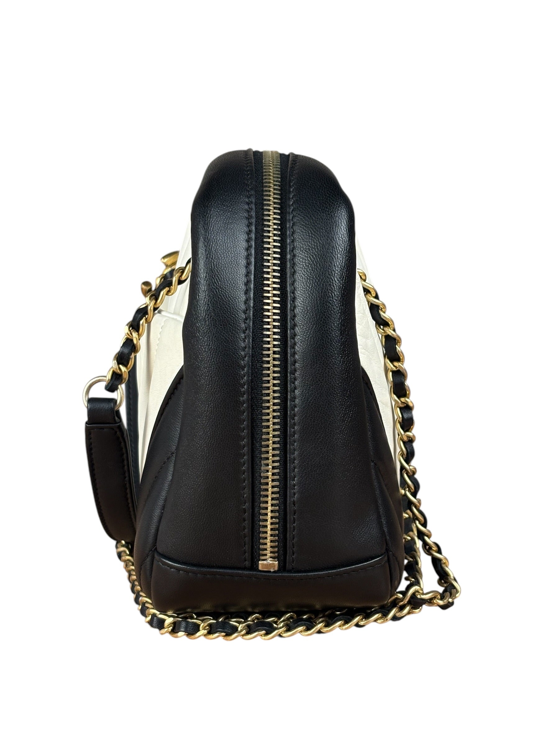 Chanel Bicolor Chevron V-Quilted Leather Camera Case 2014