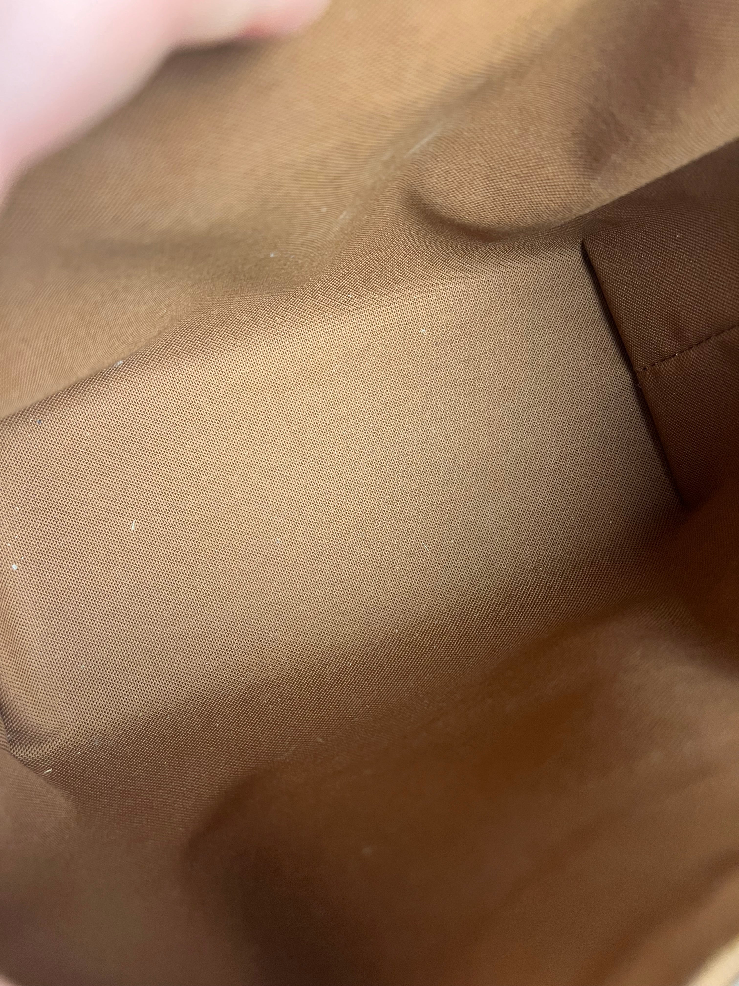 Louis Vuitton Monogram Odyssee