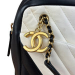 Chanel Bicolor Chevron V-Quilted Leather Camera Case 2014
