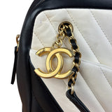 Chanel Bicolor Chevron V-Quilted Leather Camera Case 2014