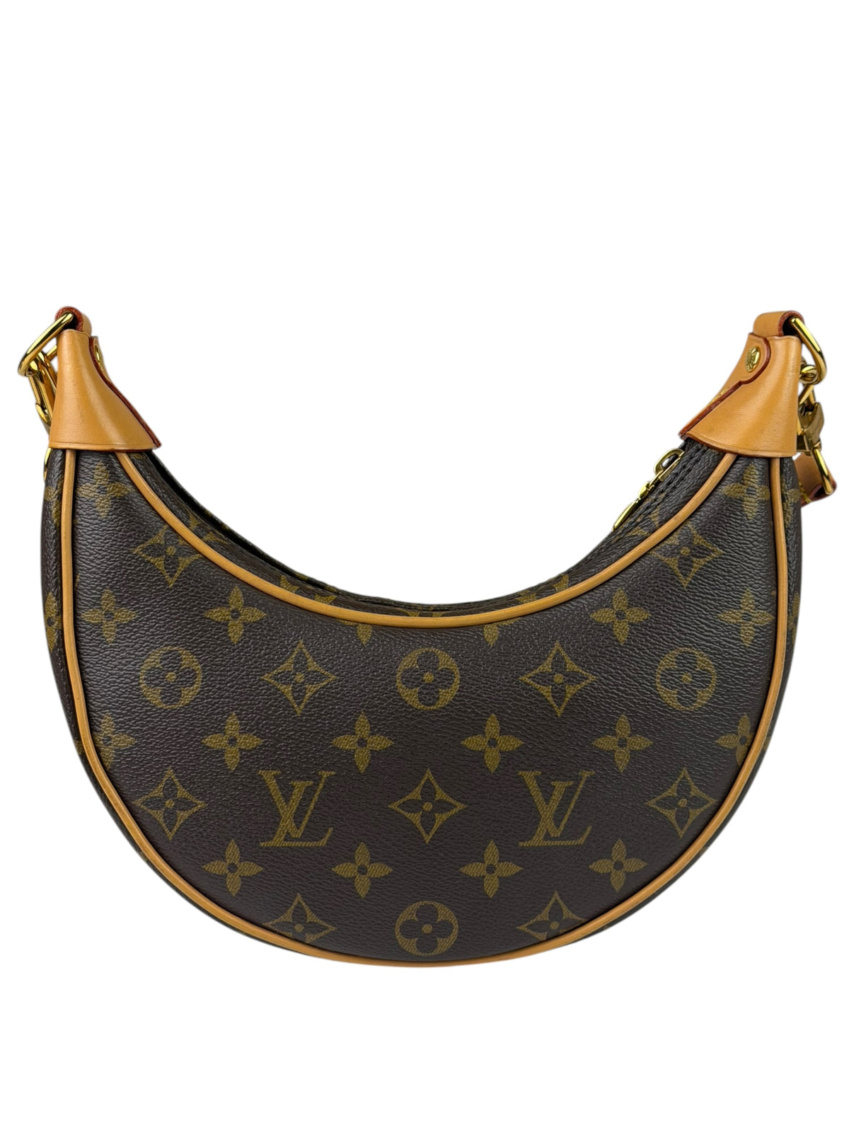Louis Vuitton Monogram Loop Pochette