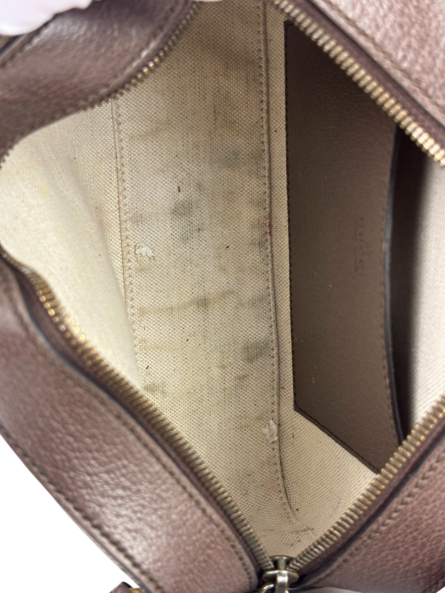 Gucci Beige GG Supreme Ophidia Camera Bag