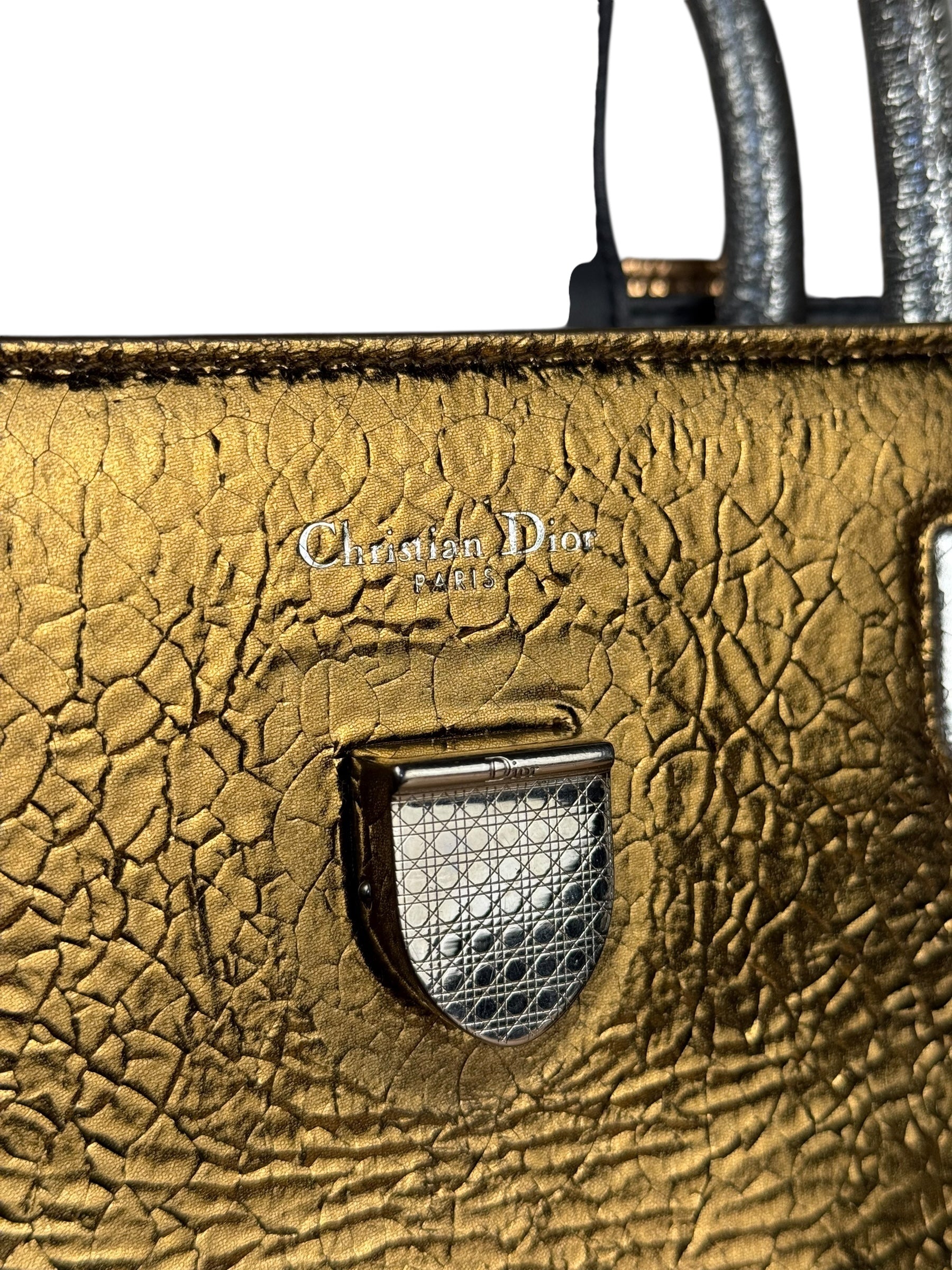 Christian Dior Diorever Gold Leather 2Way Handbag