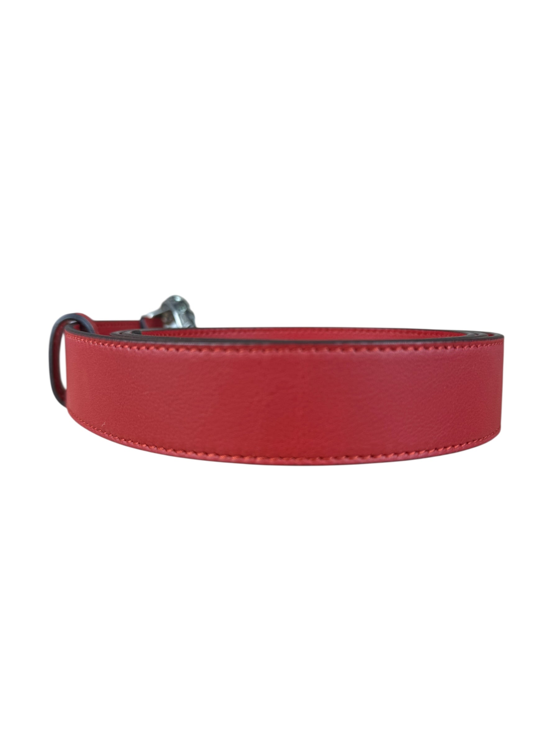 Gucci Dionysus Red Leather Belt