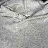 Balenciaga Logo Pullover Hoodie Grey