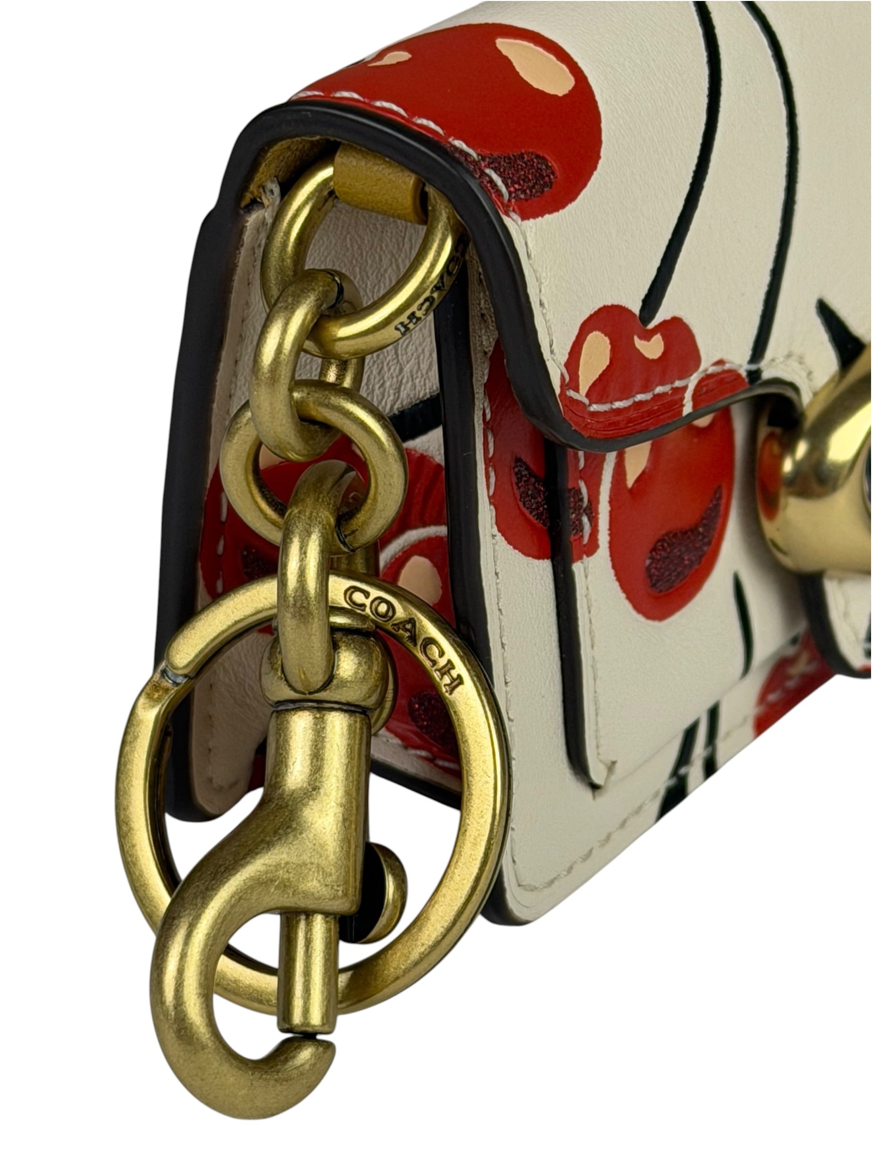 Coach Mini Tabby Bag Cherry Print Charm