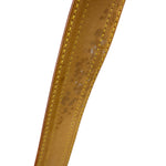 Louis Vuitton Monogram Viva City GM Handbag