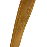 Louis Vuitton Monogram Viva City GM Handbag