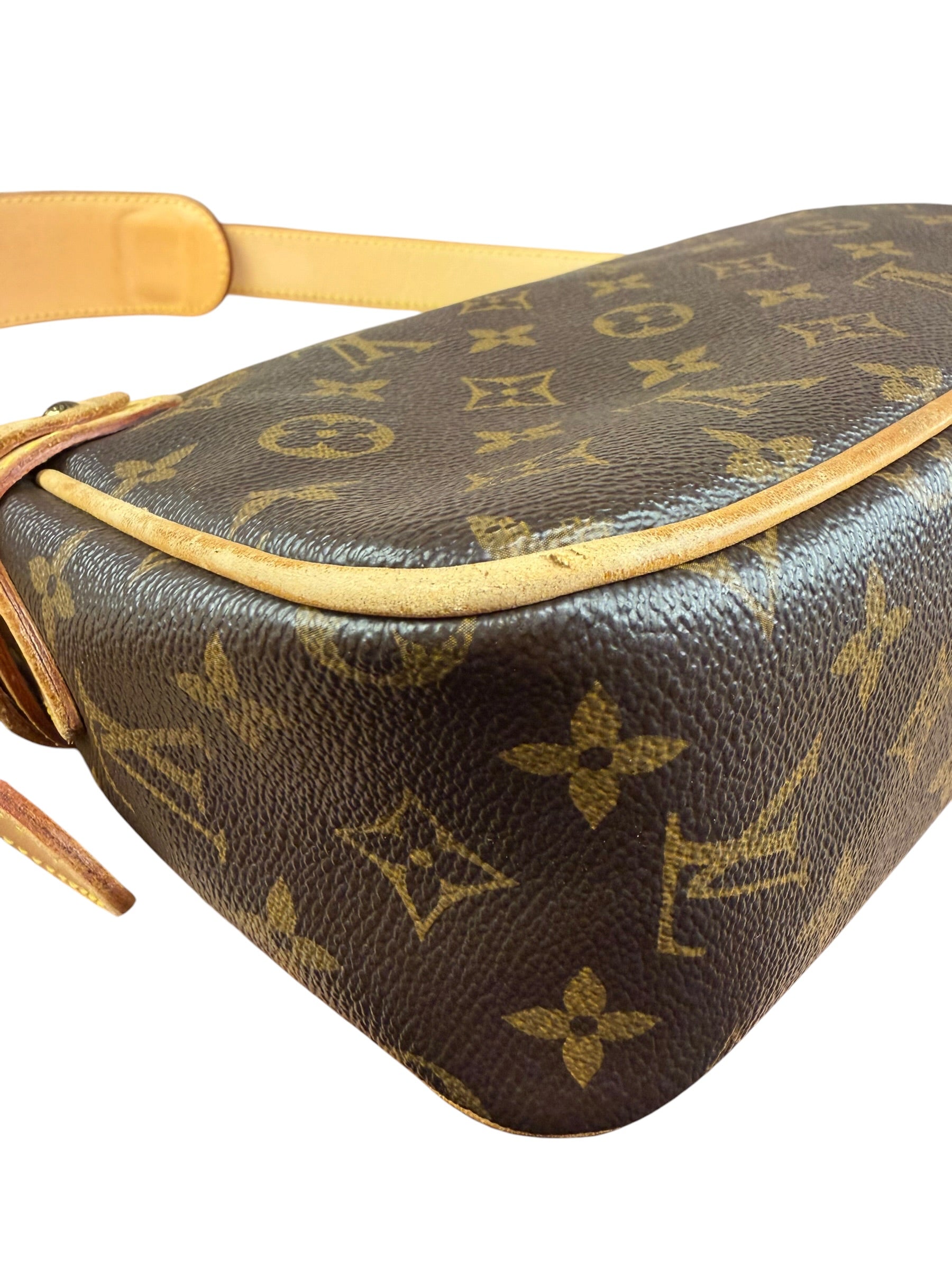 Louis Vuitton Monogram Hudson Two-Way Bag PM