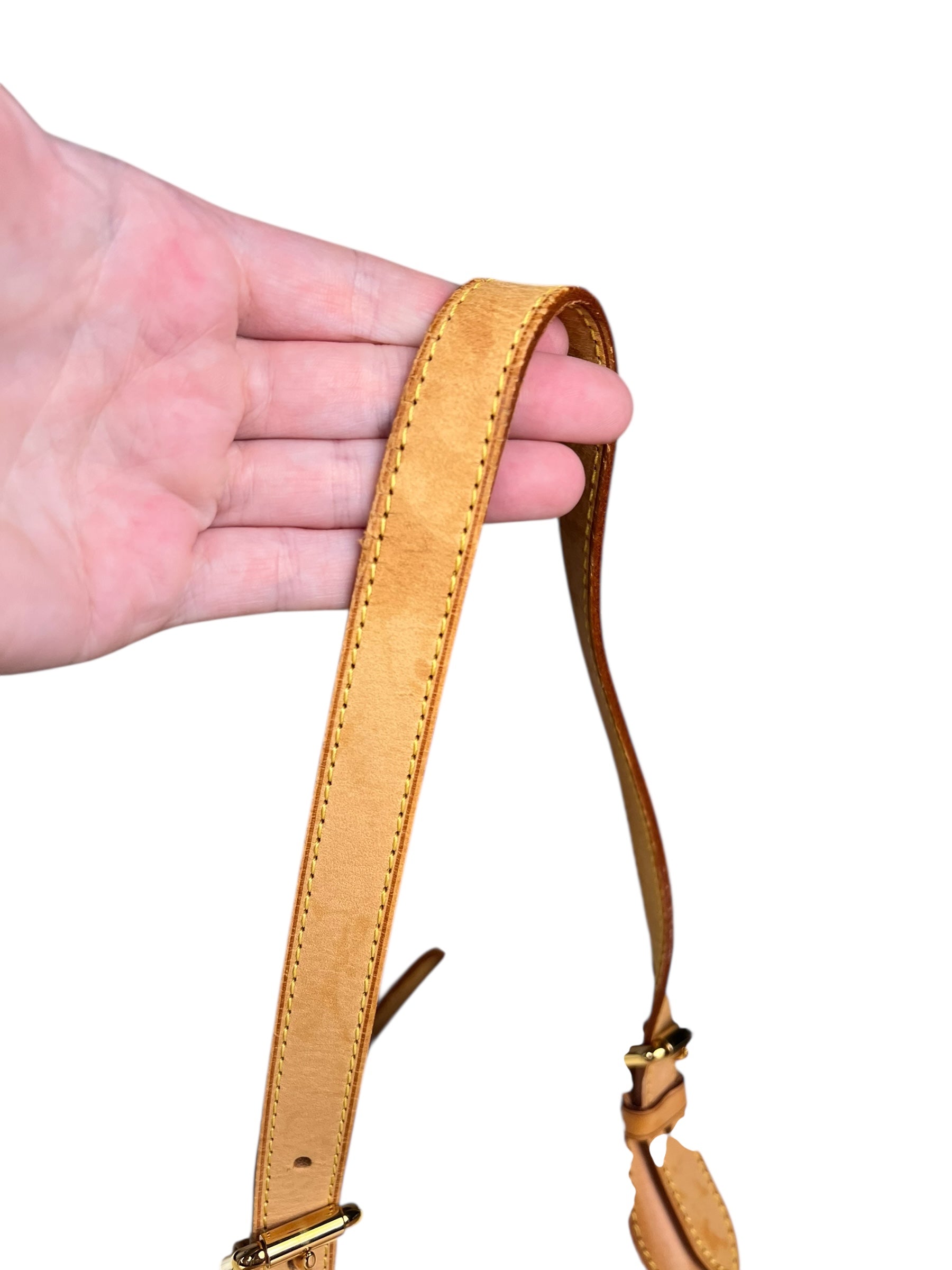 Louis Vuitton Vernis Monogram Rosewood Handbag