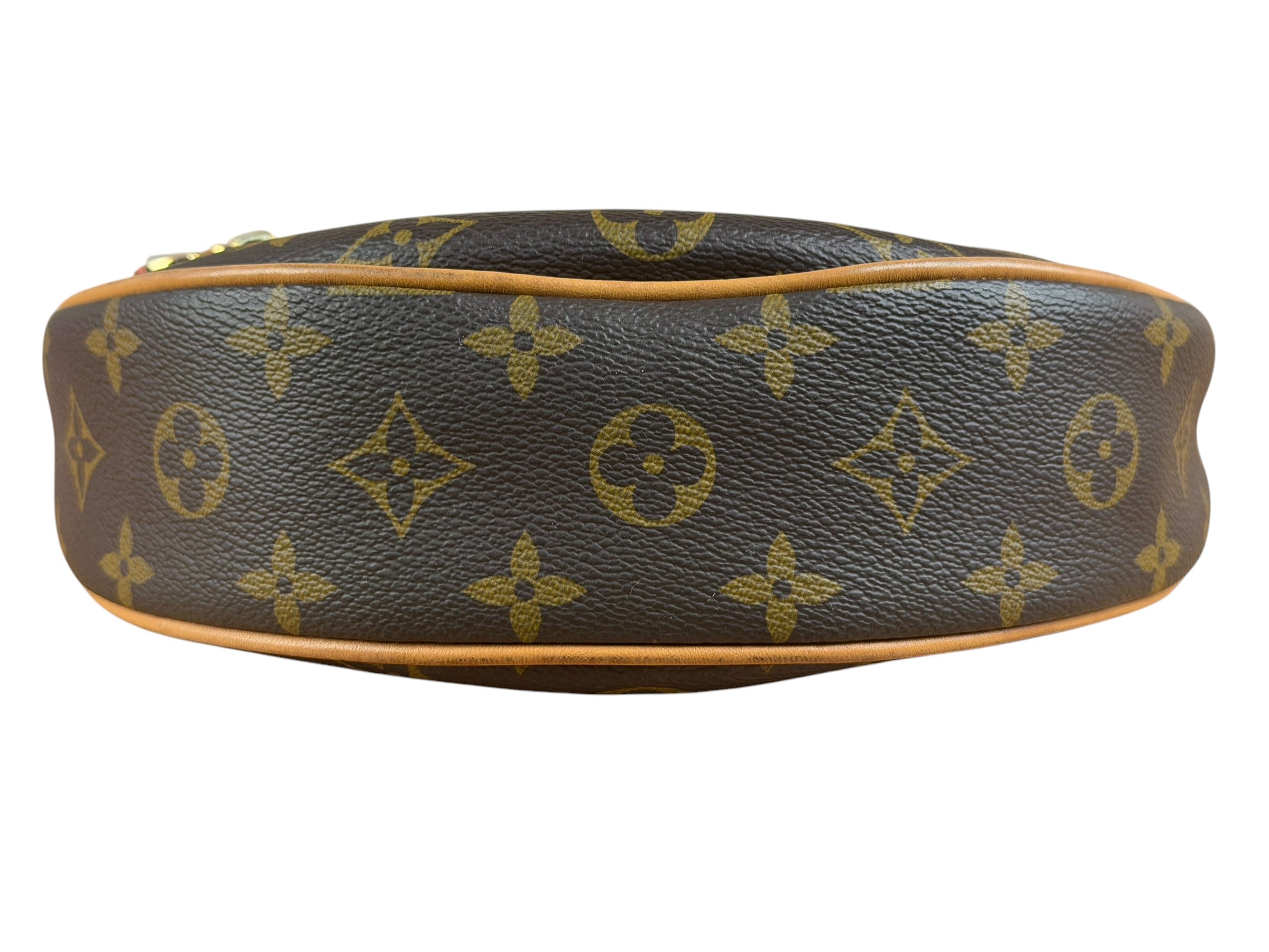 Louis Vuitton Monogram Loop Pochette