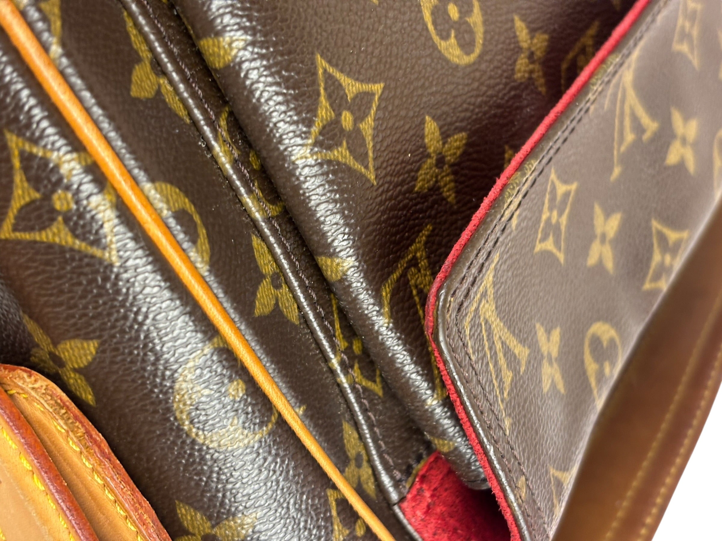 Louis Vuitton Monogram Viva Cite MM