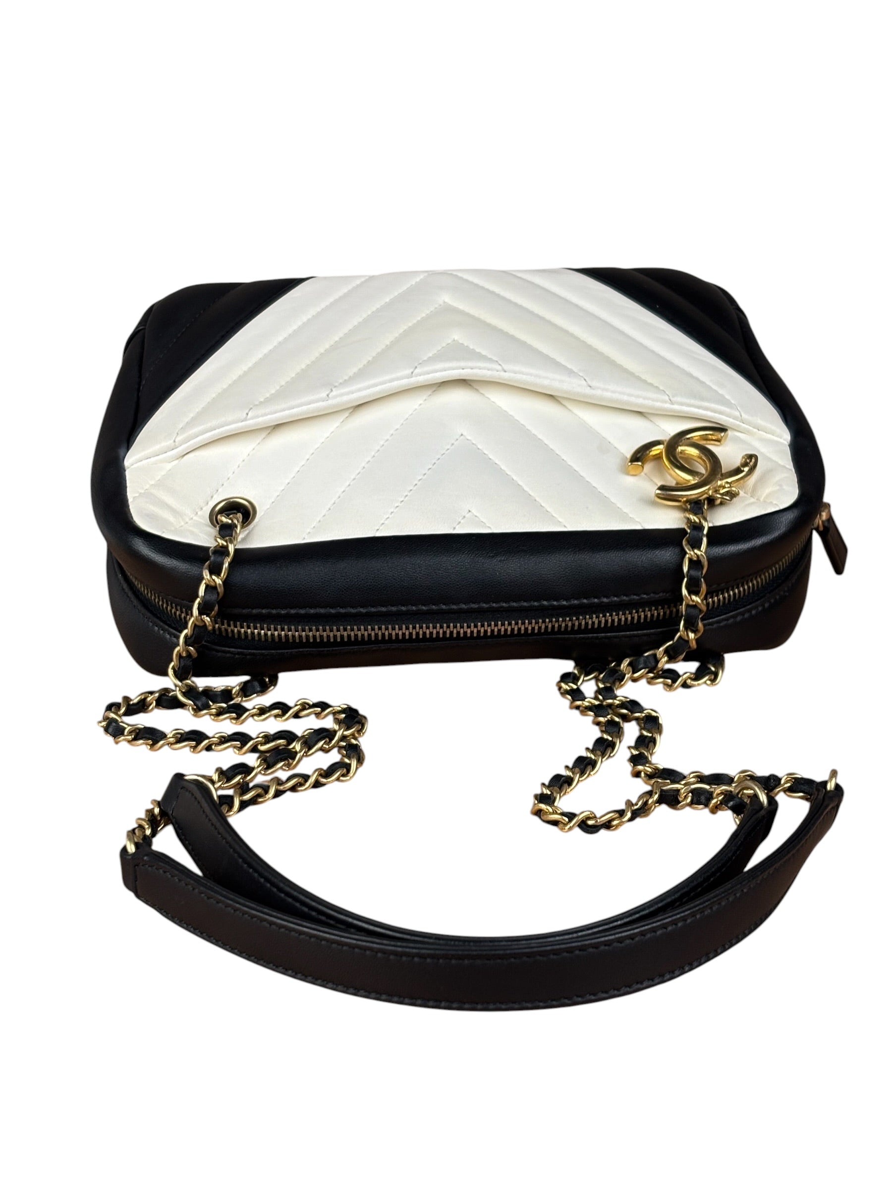Chanel Bicolor Chevron V-Quilted Leather Camera Case 2014