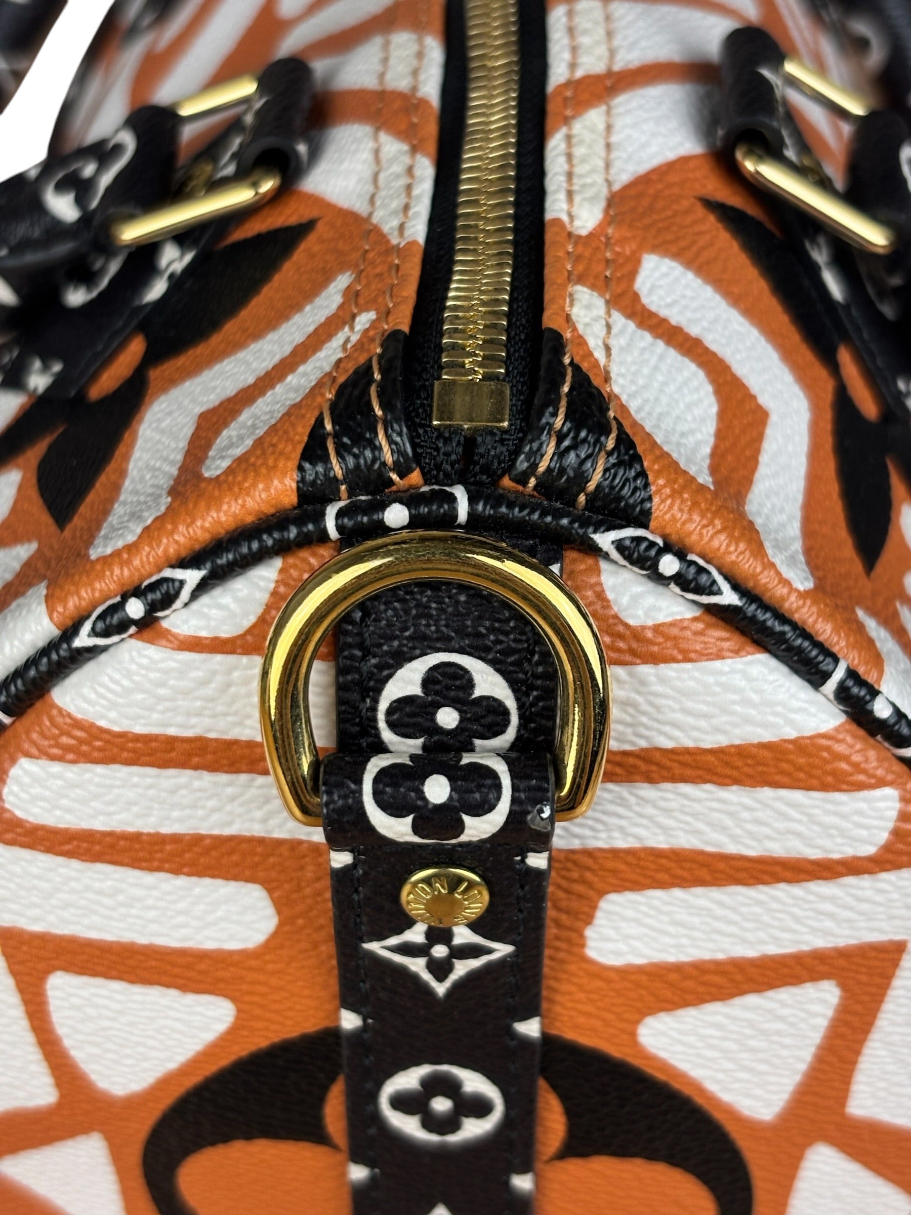 Louis Vuitton Multicolor Crafty Speedy Bandouliere 25