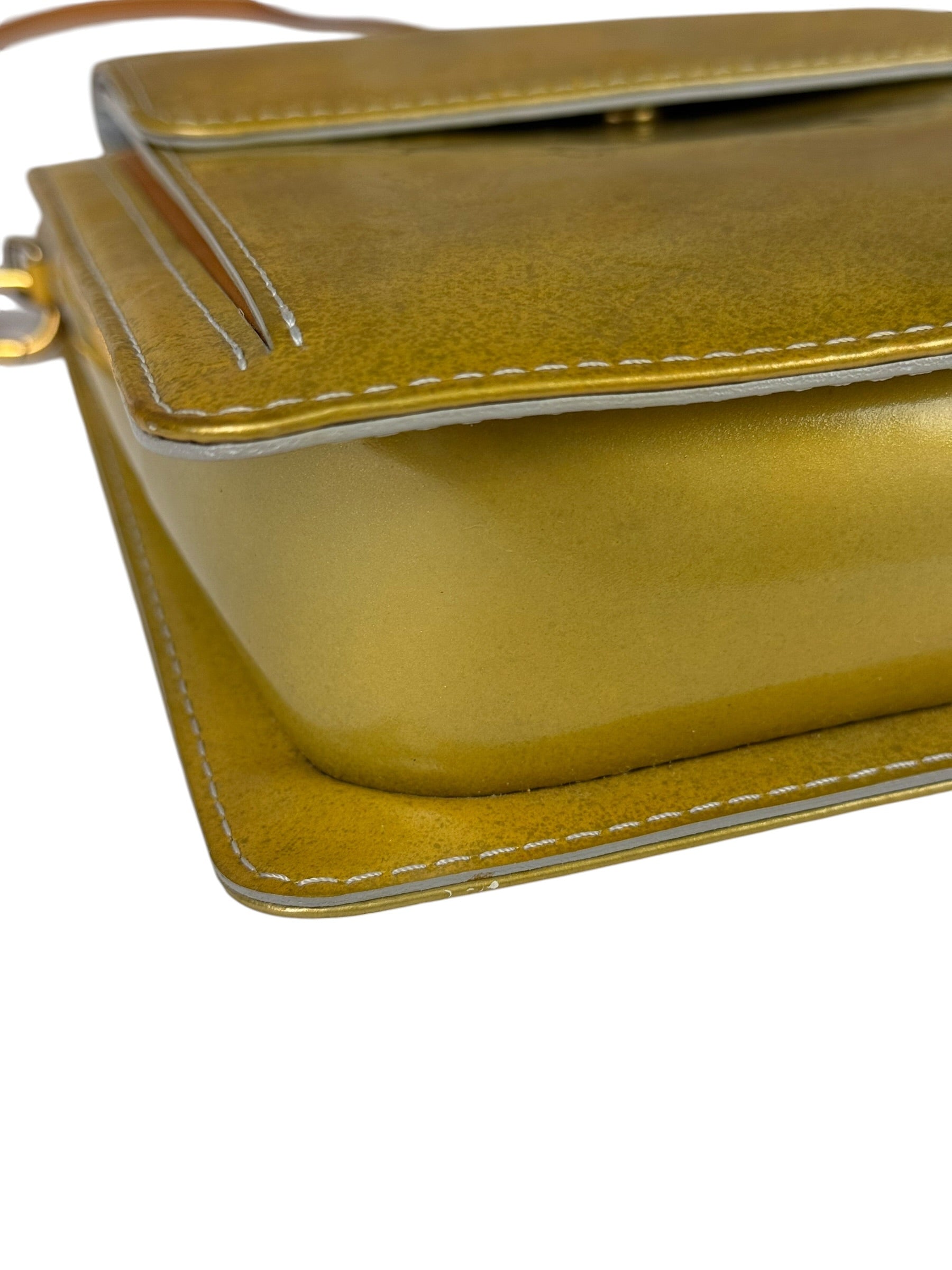 Louis Vuitton Yellow Patent Leather Vernis Mott Accessory Pouch