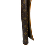 Louis Vuitton Monogram Twin Pochette