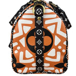 Louis Vuitton Multicolor Crafty Speedy Bandouliere 25