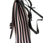 Salvatore Ferragamo Pink/Black Striped Crossbody Bag