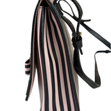 Salvatore Ferragamo Pink/Black Striped Crossbody Bag