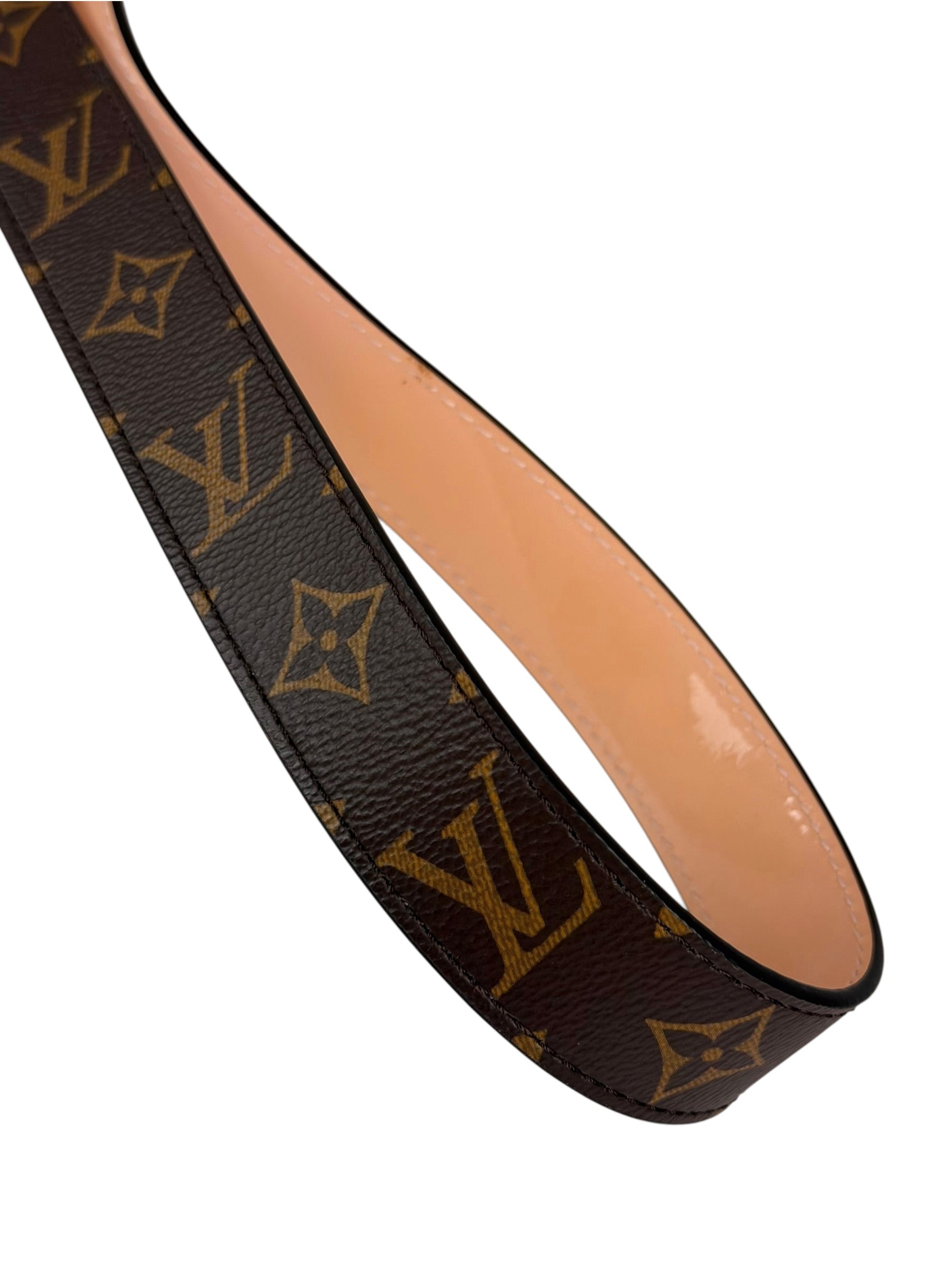 Louis Vuitton Rose Ballerine Alma BB