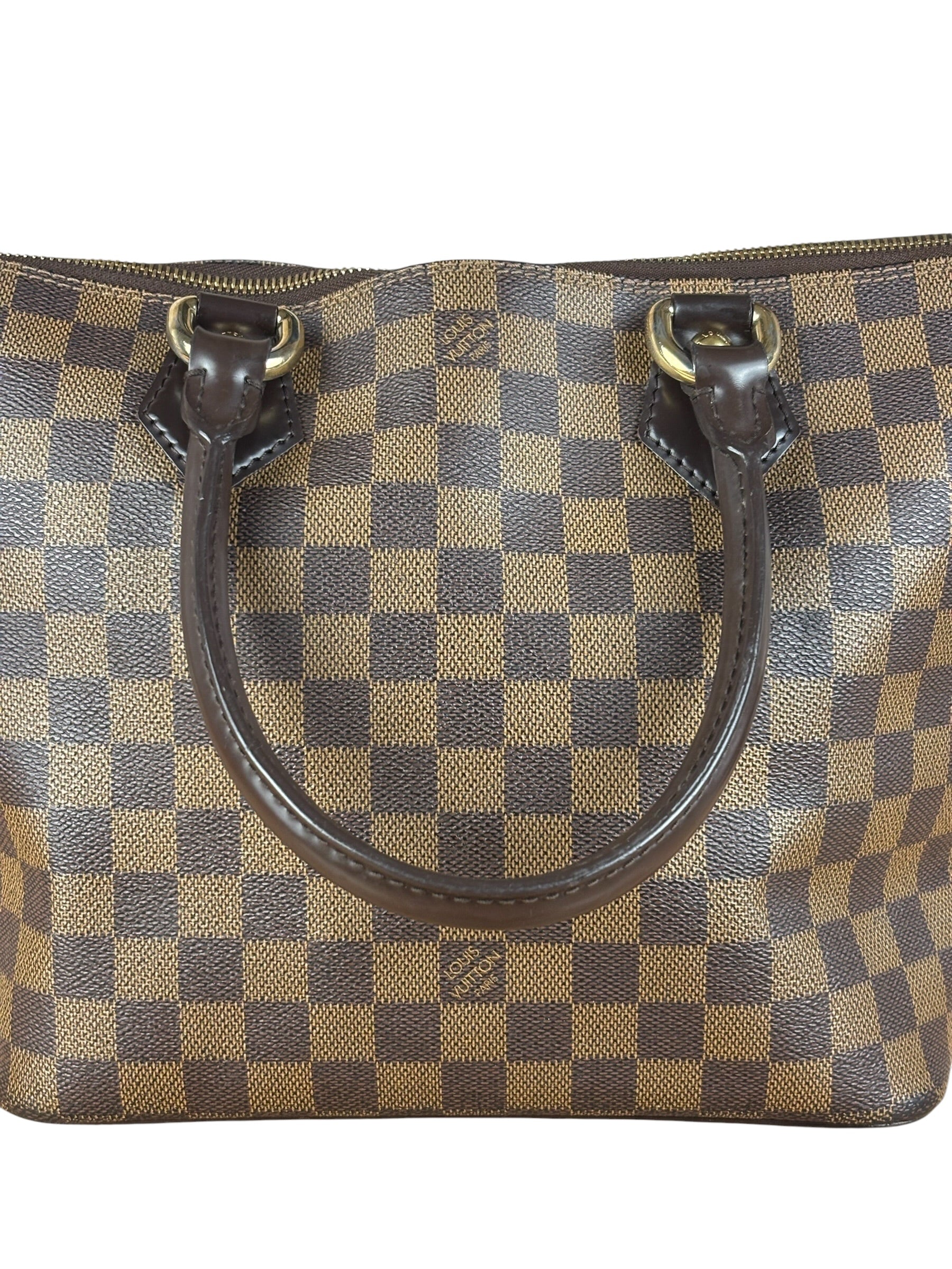Louis Vuitton Damier Ebene Saleya Tote Bag