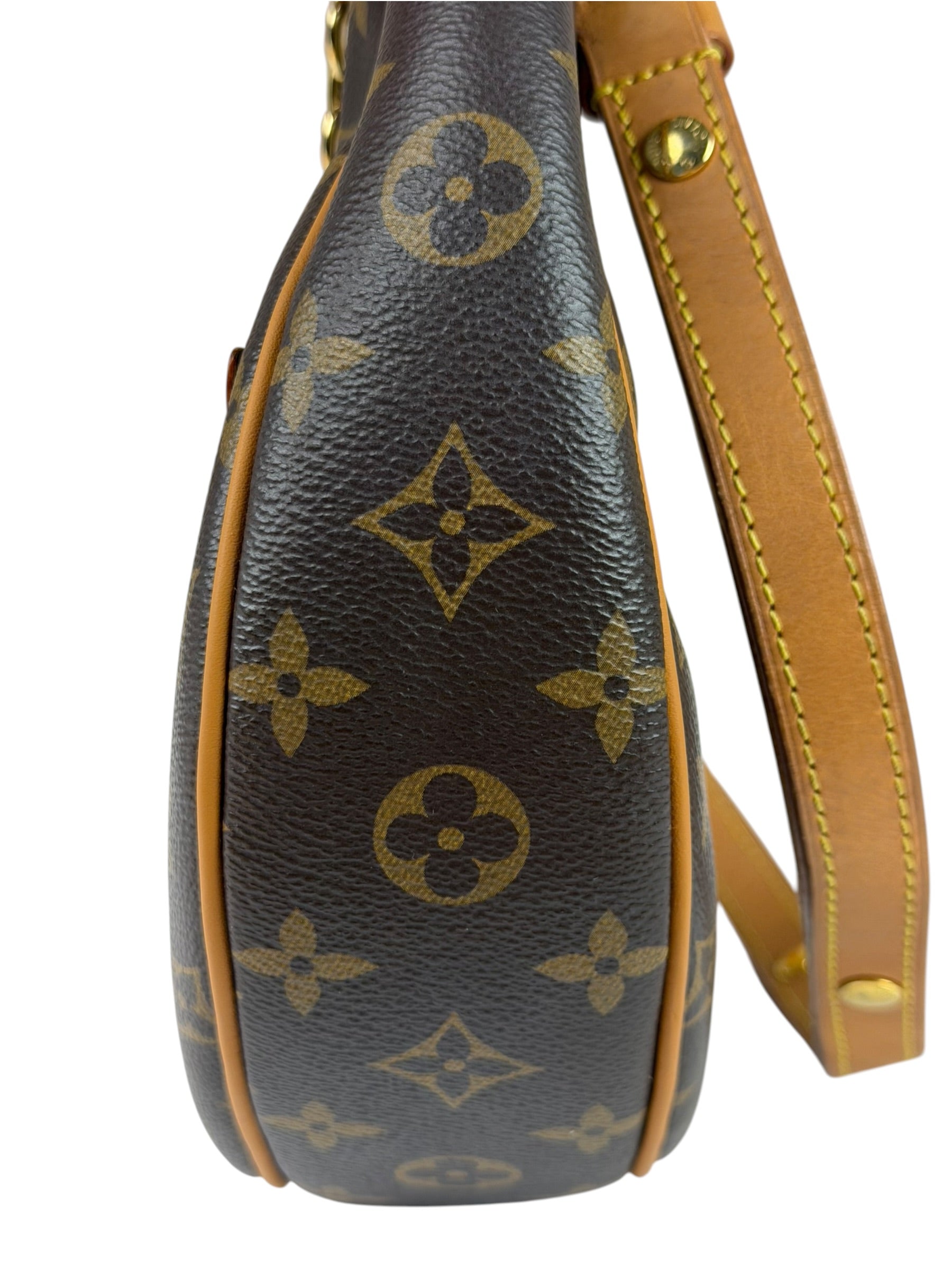 Louis Vuitton Monogram Loop Pochette