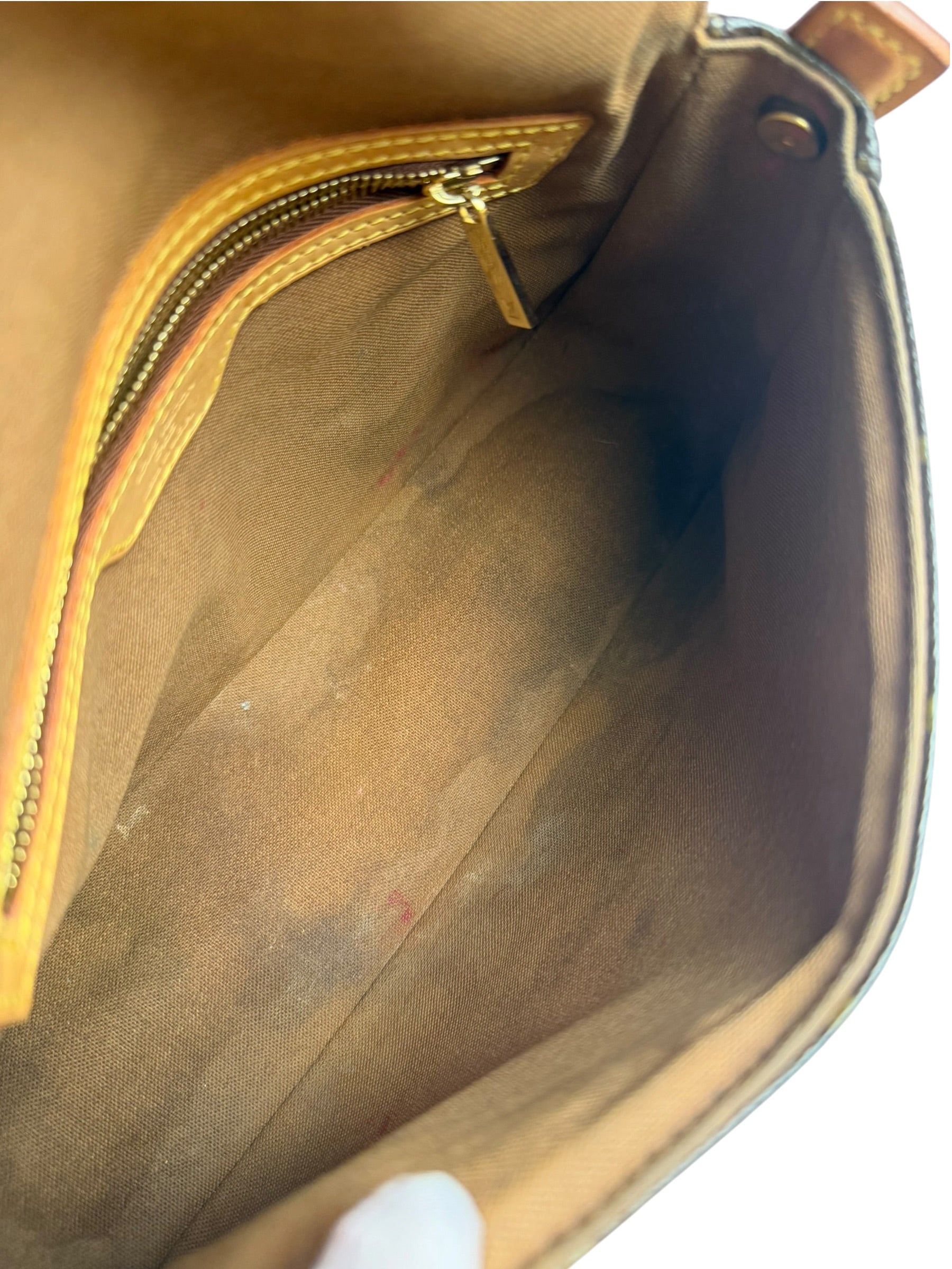 Louis Vuitton Monogram Mini Looping Shoulder Bag
