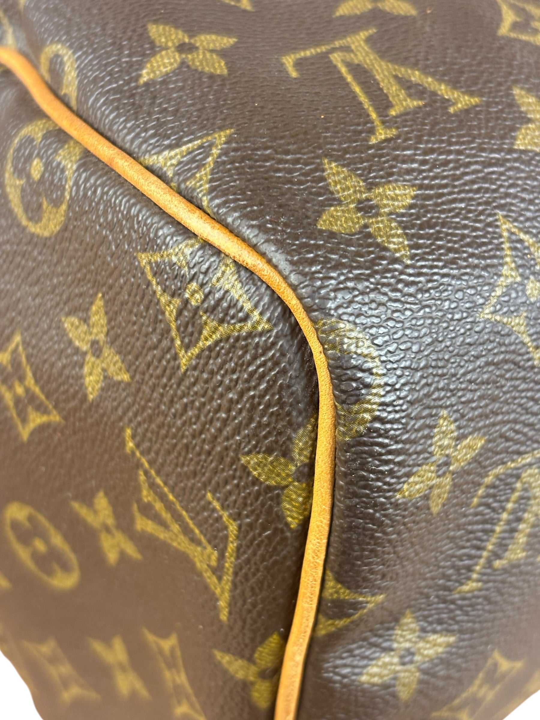 Louis Vuitton Monogram Speedy 30 Hand Bag