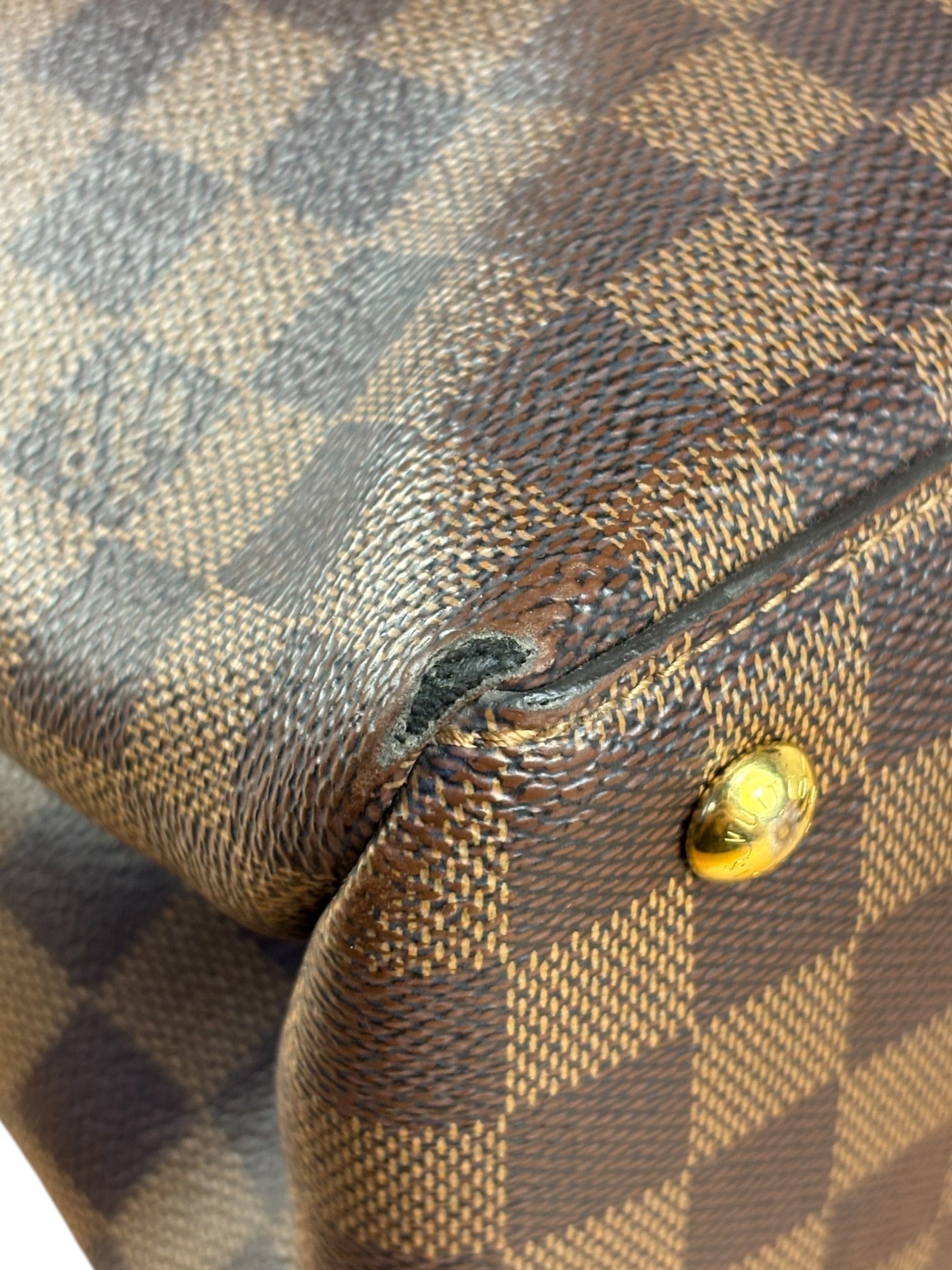 Louis Vuitton Damier Ebene Riverside Two-Way Bag