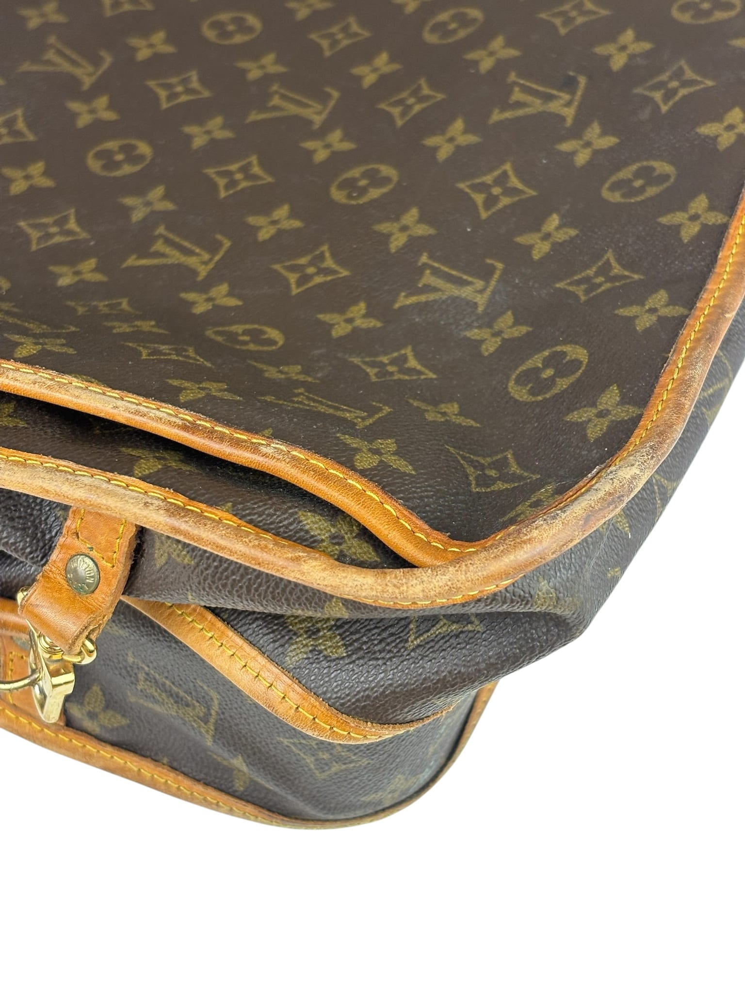 Louis Vuitton Monogram Garment Bag