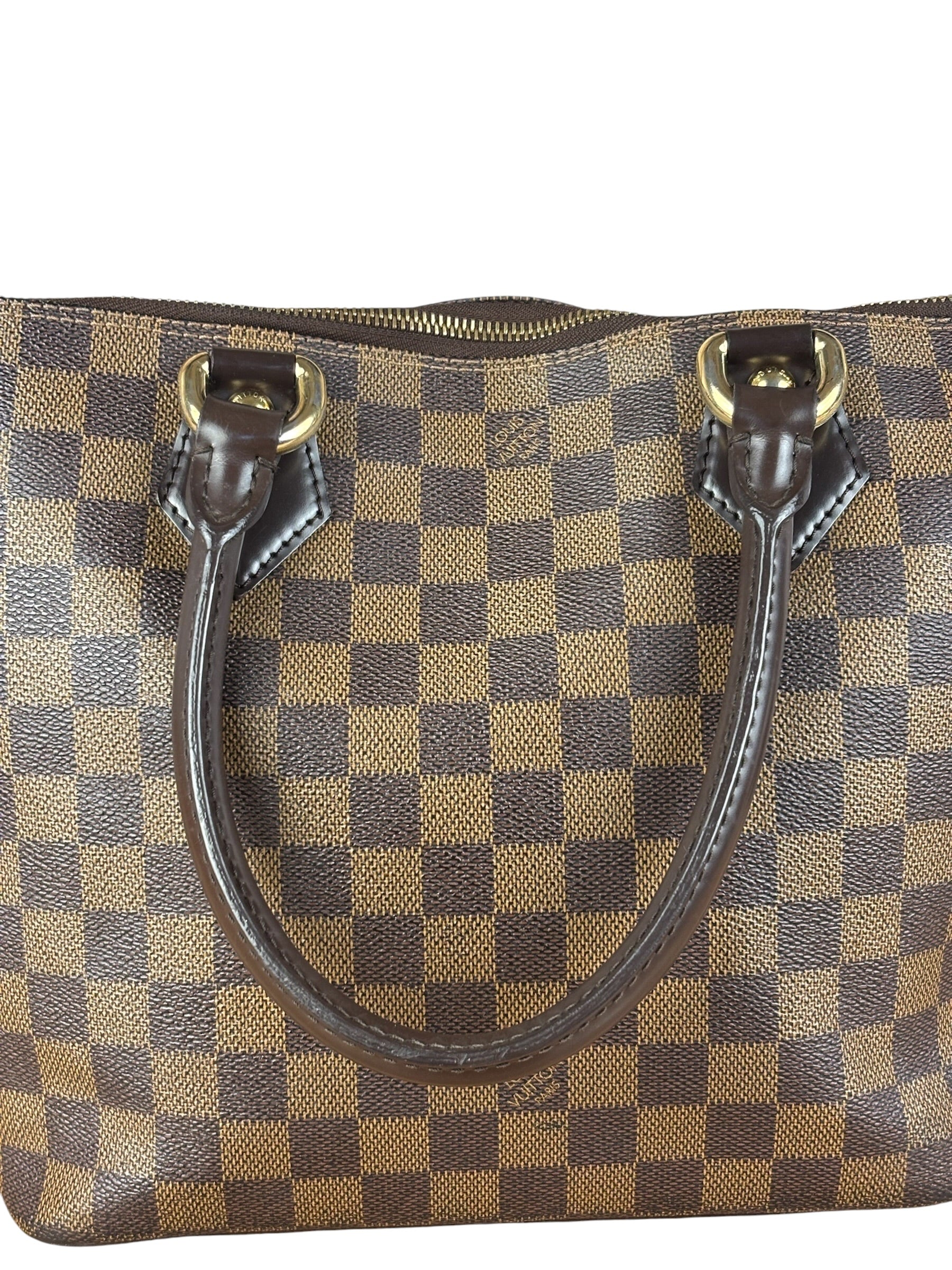 Louis Vuitton Damier Ebene Saleya Tote Bag