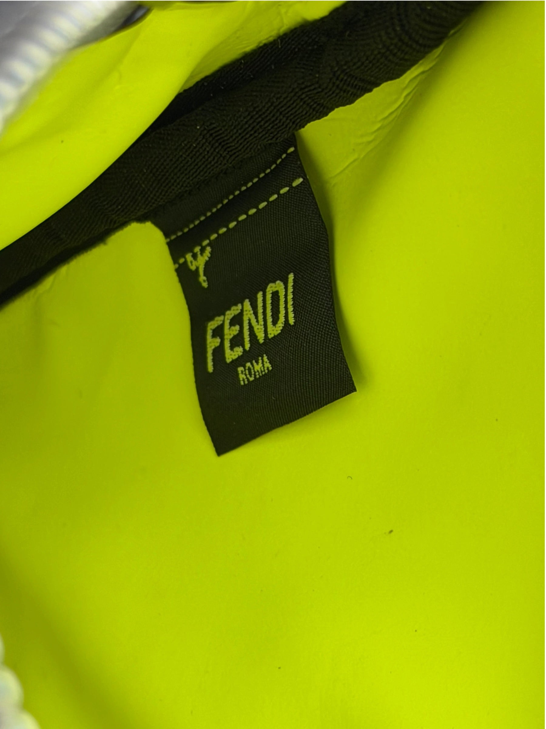 Fendi Leather I.C.U Crossbody Bag