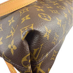 Louis Vuitton Monogram CarryAll Bag MM