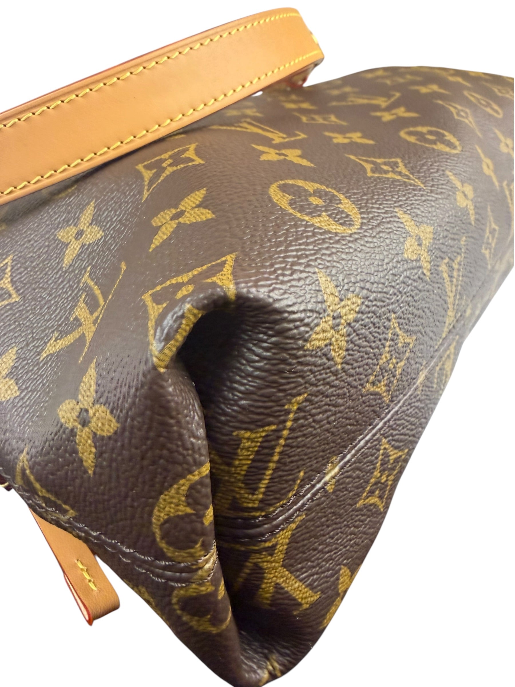 Louis Vuitton Monogram CarryAll Bag MM