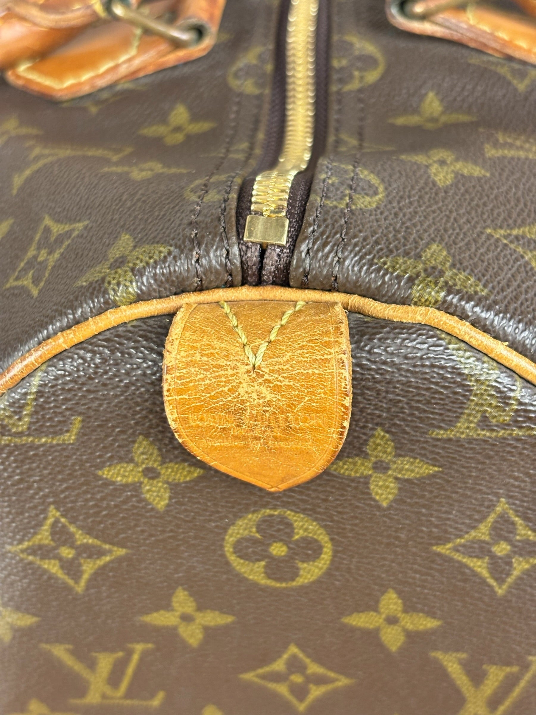 Louis Vuitton Monogram Speedy 25