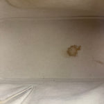 Louis Vuitton Ivorie Epi Leather Alma Handbag MM