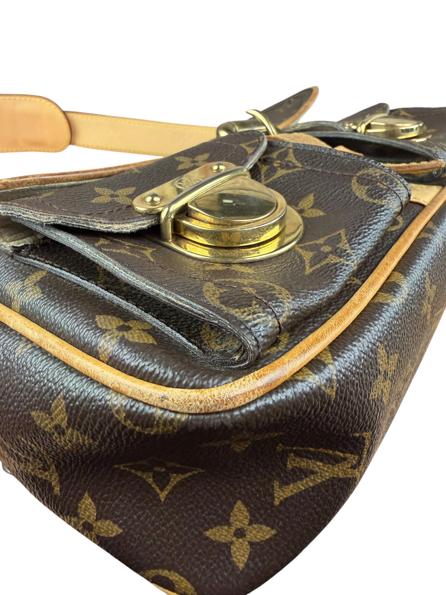 Louis Vuitton Monogram Hudson Two-Way Bag PM