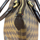 Louis Vuitton Damier Ebene Saleya Tote Bag