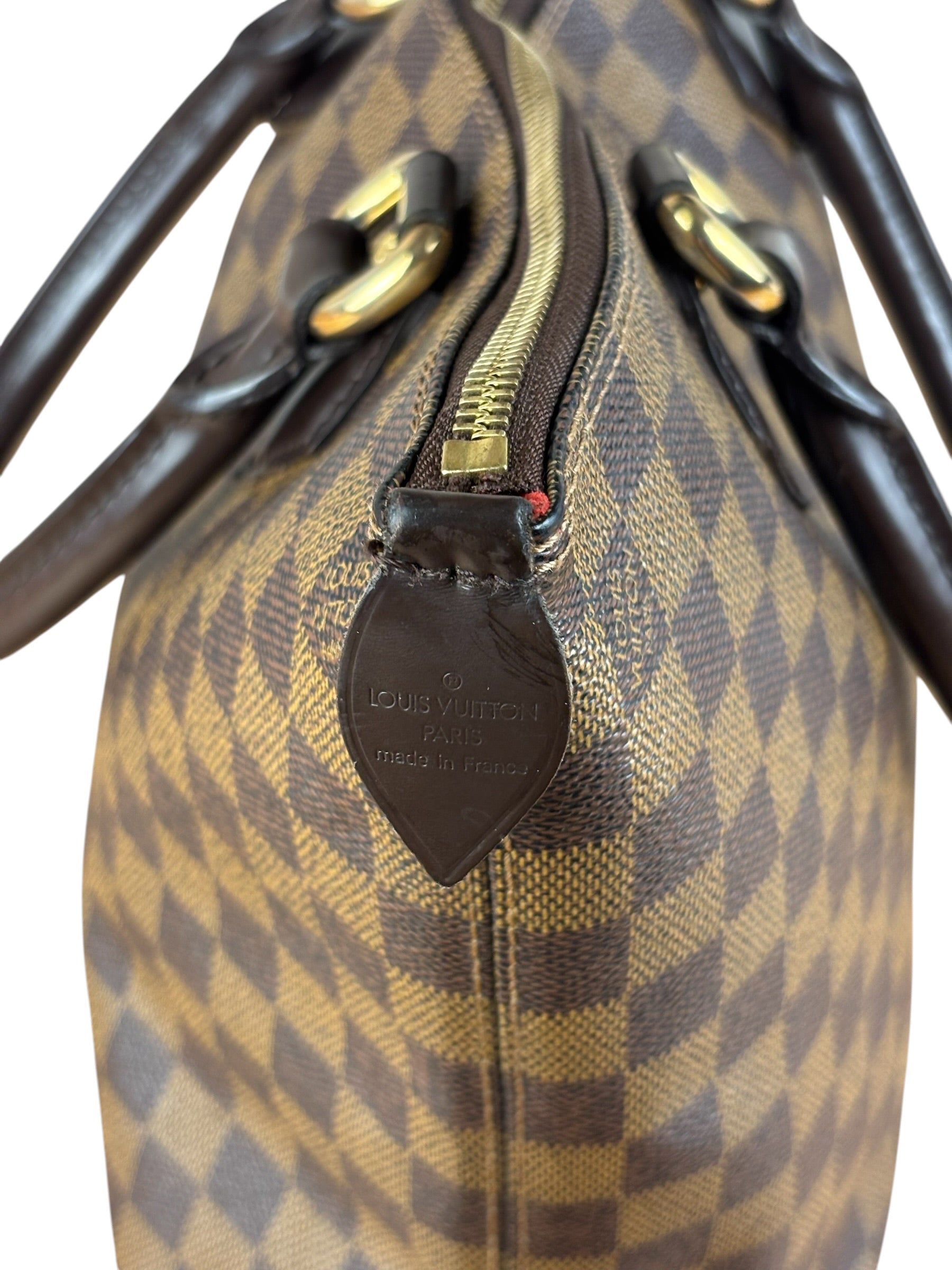 Louis Vuitton Damier Ebene Saleya Tote Bag