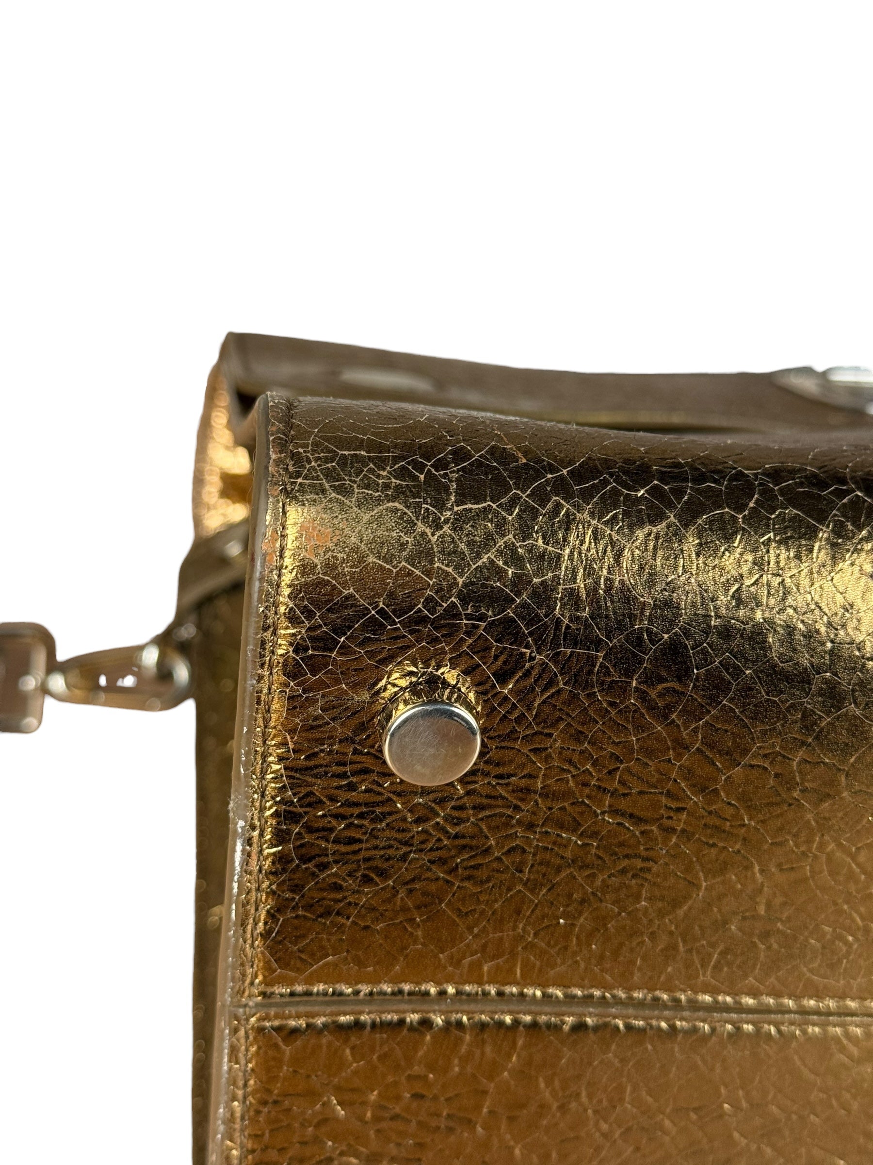 Christian Dior Diorever Gold Leather 2Way Handbag