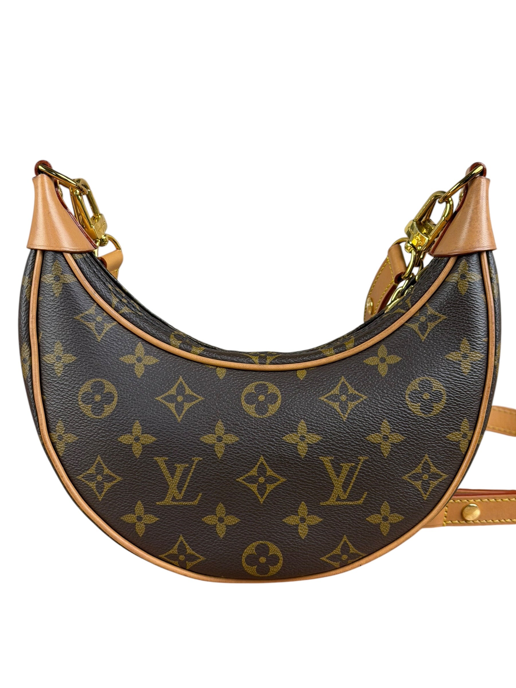 Louis Vuitton Monogram Loop Pochette